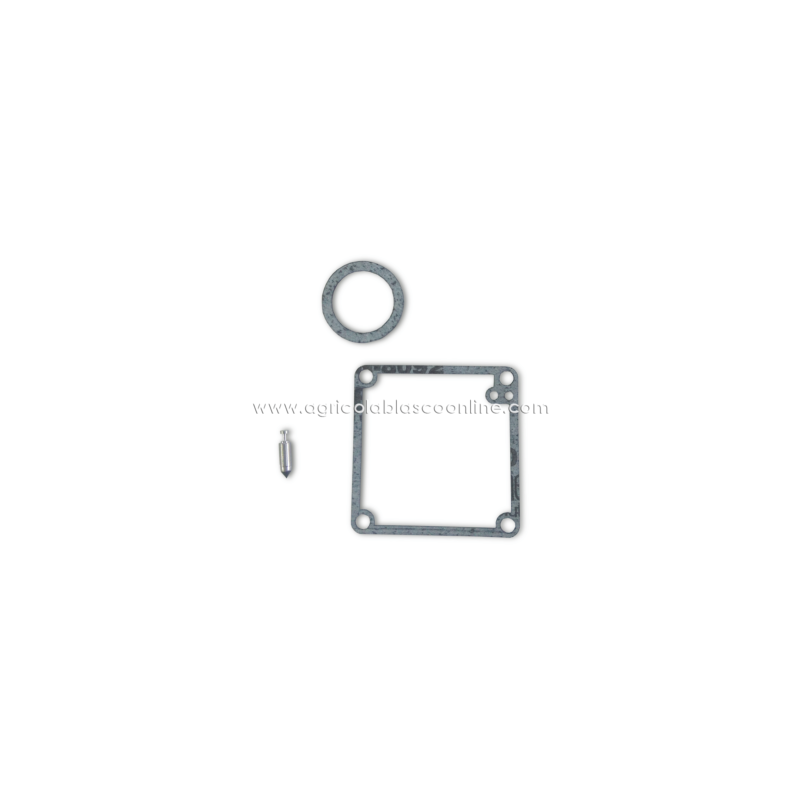 Kit juntas carburador M100 M150 M165 G2T con aguja amal minsel big