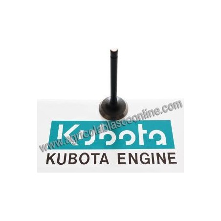 Valvula escape motor Kubota V2203