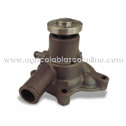 Bomba agua hinomoto C144D big