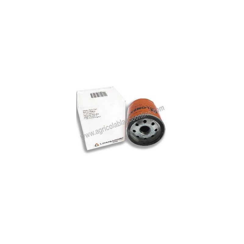 Filtro Gasoil Motor lombardini LDW 1 big