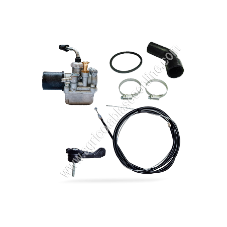 28108 Kit Sustitucion Carburador Zenith Agria amal minsel 1 1 big