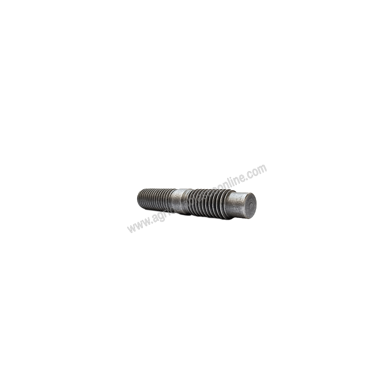 Esparrango Pasquali Rotovator reparacion apero motocultor Pasquali 1 1 big