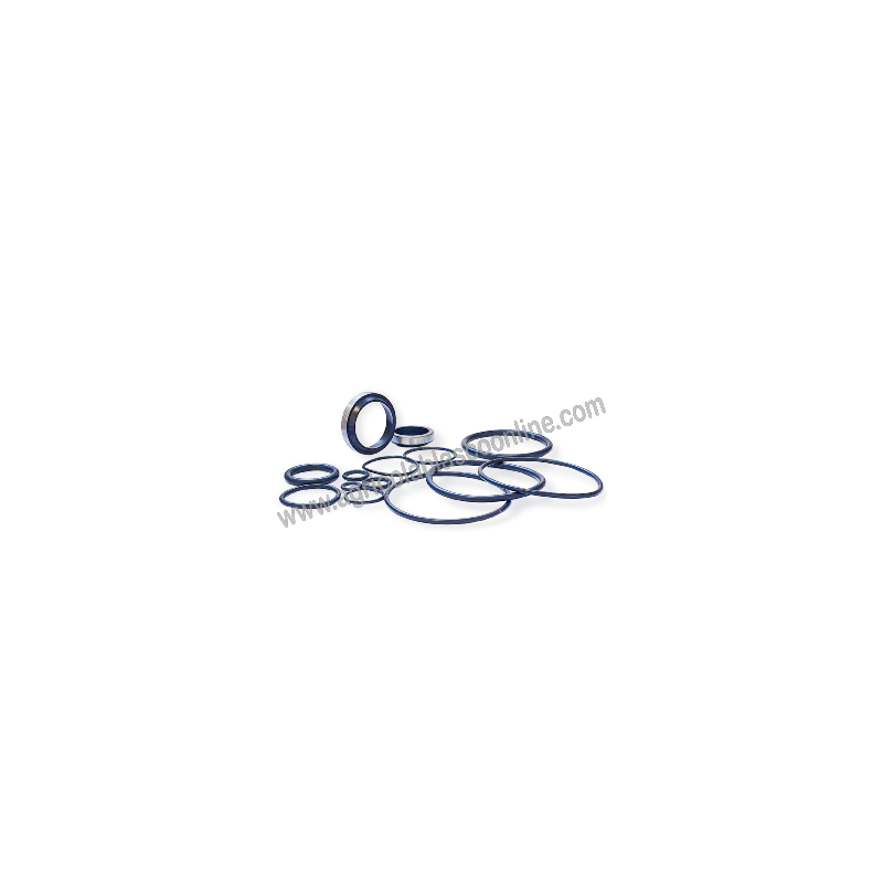 60207 Kit Juntas Reparacion Terramet Direccion Pascuali 1 1 big