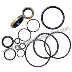  60207 Kit Juntas Reparacion Terramet Direccion Pascuali 3 1 big