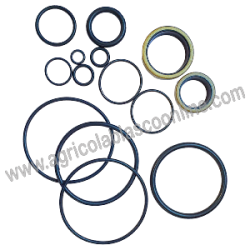  60207 Kit Juntas Reparacion Terramet Direccion Pascuali 4 1 big