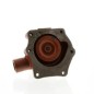 BOMBA AGUA DAVID BROWN -CASE