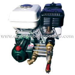 Carretilla Fumigar Zomax Motor Maqver 4T ZS152F Bomba Maruyama MS160