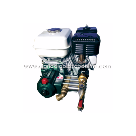Carretilla Fumigar Zomax Motor Maqver 4T ZS152F Bomba Maruyama MS160