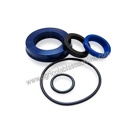 KIT REPARACION BOTELLA HIDRAULICO PASQUALI