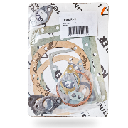 8180055 juntas LDA530 juego Reparacion Descarbonizacion lombardini motor 1 1