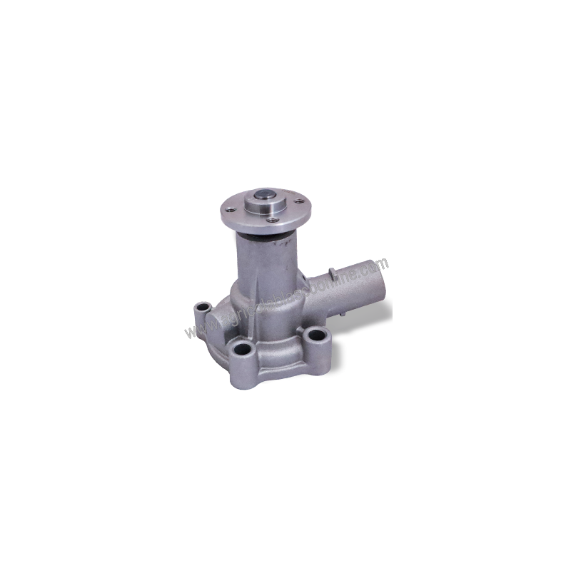 Bomba Agua mini Motor agua minsel diese tractor 5 1 big