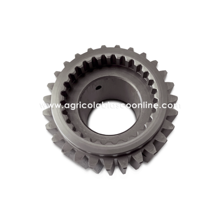 Piñon loco Agria 9900E
