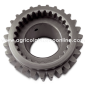 Piñon loco Agria 9900E