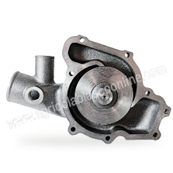  Bom250 bomba Agua Motor perkins Massey Ferguson MF Cosechadora Mercator Domi