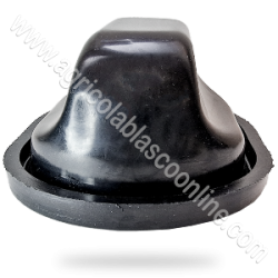  RVY969 Membrana calderin bomba imovilli Pompe 3 1 big