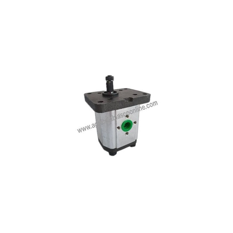 Bomba Hidraulica tractores Agria 9900 1 big
