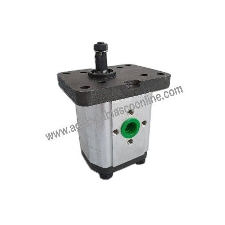 Bomba hidraulica Tractores Agria 9900N Bomba hidraulica Tractores Agria 9900N