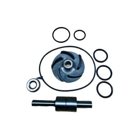 kit reparacion bomba agua nissan 6 60 big