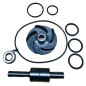Kit reparación bomba agua tractor Ebro y Kubota con motor Nissan B6.60