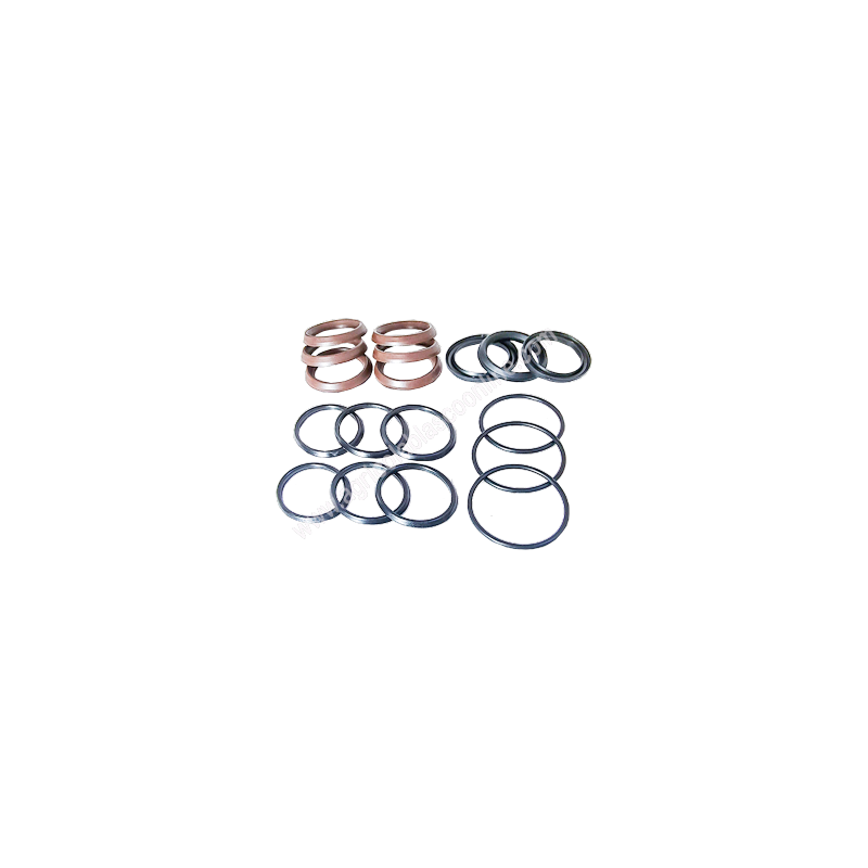 Kit109 collarines Bertolini Bomba Fumigar cuero Toricas 4 1 big