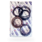 Kit collarines bomba fumigar Bertolini CK110, CKS110 CK120, CK180, CK 220, CK230