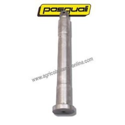  Bulon giro tractor pasquali big