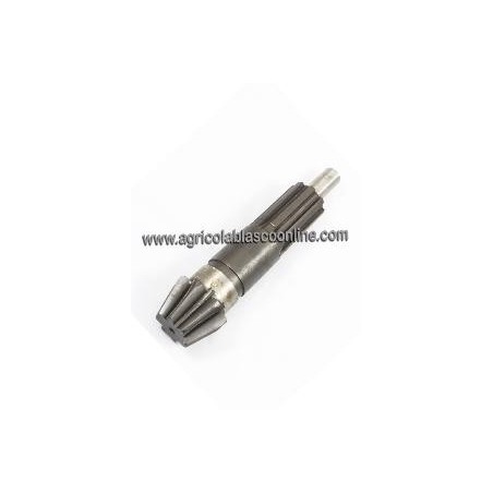PINON ATAQUE PASQUALI GRUPO DIFERENCIAL 958 02 big