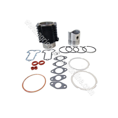 Reparacion Cilindro piston Segmentos bulon juntas camisa Clips lombard big