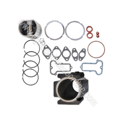  Reparacion Cilindro piston Segmentos bulon juntas gomas camisa Clips lombard