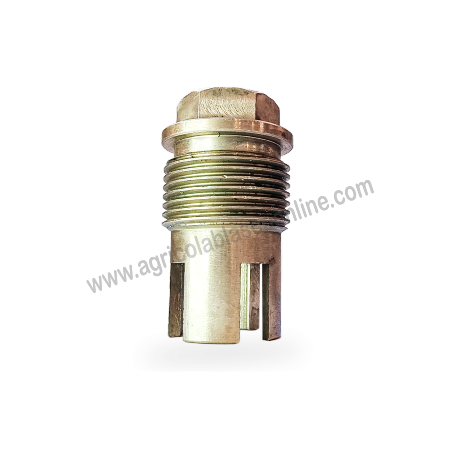 Tapón apriete válvula bola 21mm  bomba Abella