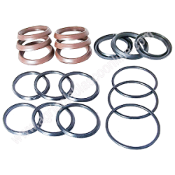  Kit109 collarines Bertolini Bomba Fumigar cuero Toricas 4 1 big