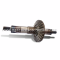Corona con buje rotovator motocultor Pasquali 8D 14 CV, BCS serie 700 (EJE FRESA) + corona ataque) Corona con buje rotovator motocultor Pasquali 8D 14 CV, BCS serie 700 (EJE FRESA) + corona ataque)