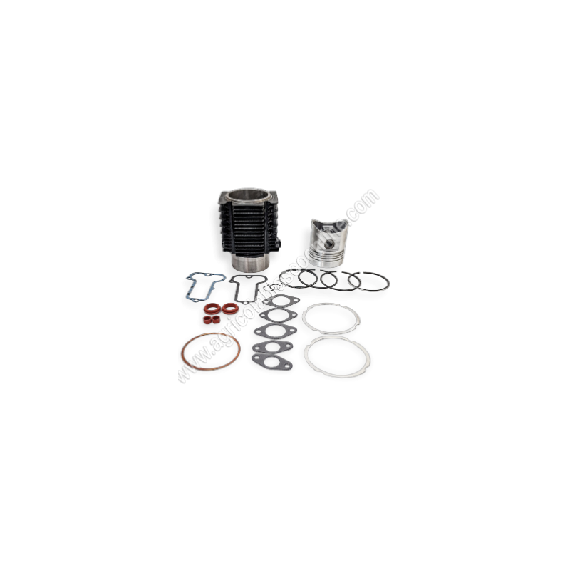 Reparacion Cilindro piston Segmentos bulon juntas gomas camisa Clips lda510 