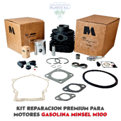  G1008 PREMIUM Kit Cilindro piston Minsel Agria M100 Mollon truss LAnder Alfa