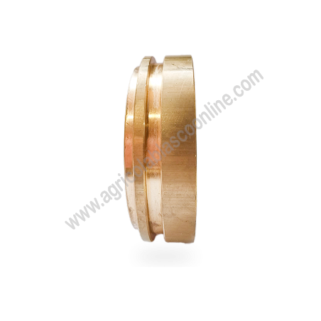 Bronce posterior bomba de fumigar Bertolini CK73 CK90 CK110 CK115 CK120