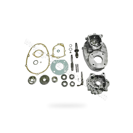 Kit reparacion caja velocidades Agria 3000