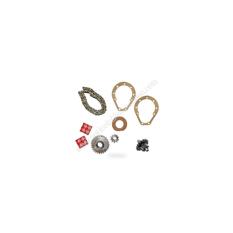 28077 Kit pinones Cadena transmision Agria completo Reparacion Motocultor 30