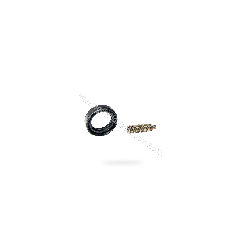28091 Kit ACcesorios PAlanca Embrague Esparrago Pivote Reten Agria Minsel 2 