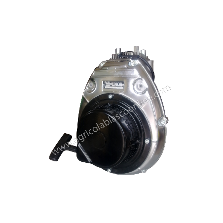 Motor Gasolina Minsel M150 / M165 - Completo -  Giro Derecha