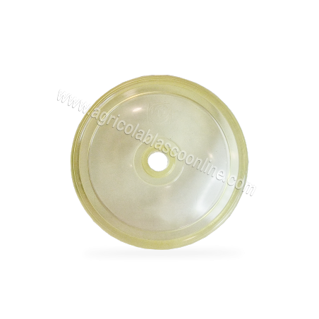 Kit reparación membranas bomba de membranas D70 D82 D105 D123 Imovilli pompe