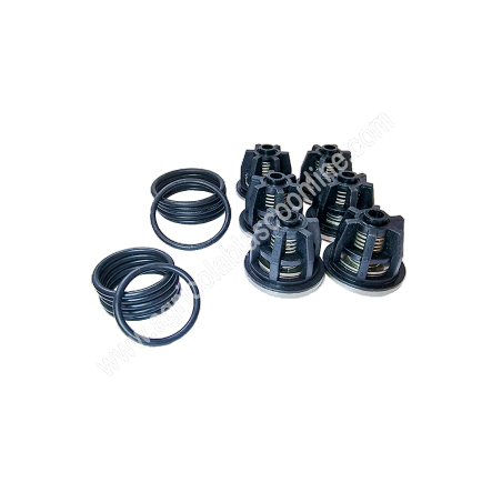 739870973 kit113 Juego Reparacion Valvulas Bertolini bomba Atomizador fumiga