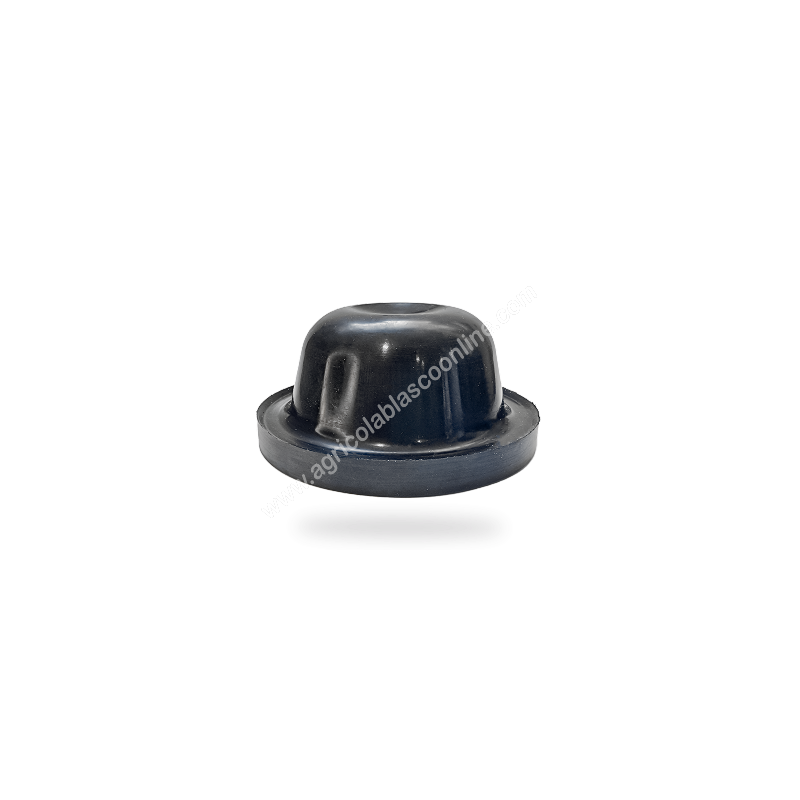 RVY044 Membrana Acumulador bomba Comet Fumigar atomizador 1 1 big