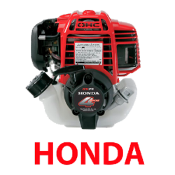  motor honda gx25 para carretilla fumigar 3WZ jardineria agricola blasco big
