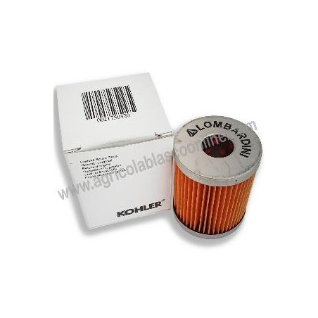 filtro aceite motor Lombardini 6LD  metalico