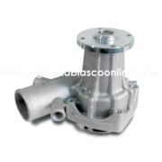 bombas agua VM motor tractor repuesto agricola blasco big