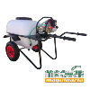 carretilla fumigar 3WZ montada motor maqver honda gX25 1e34F bomba 2 pistone