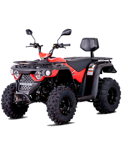Linhai ATV M210 2x4 Motor 4T 177cc Quad