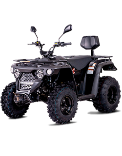Linhai ATV M210 2x4 Motor 4T 177cc Quad