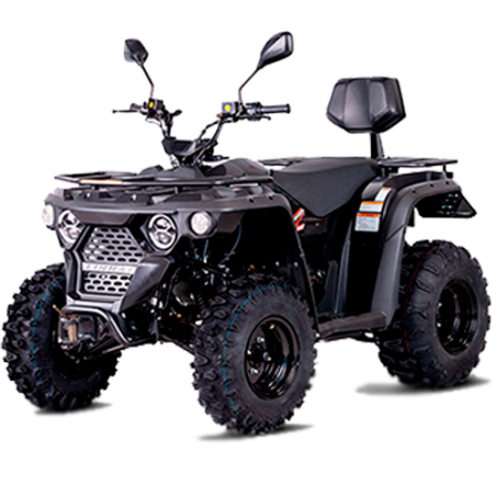 Linhai ATV M210 2x4 Motor 4T 177cc Quad