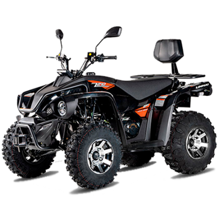 Linhai ATV Z210 2x4 Motor 4T 177cc Quad